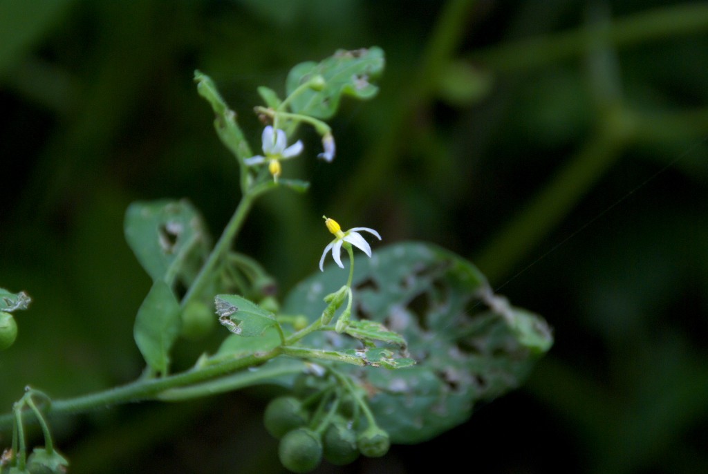 d0053930_6583046.jpg