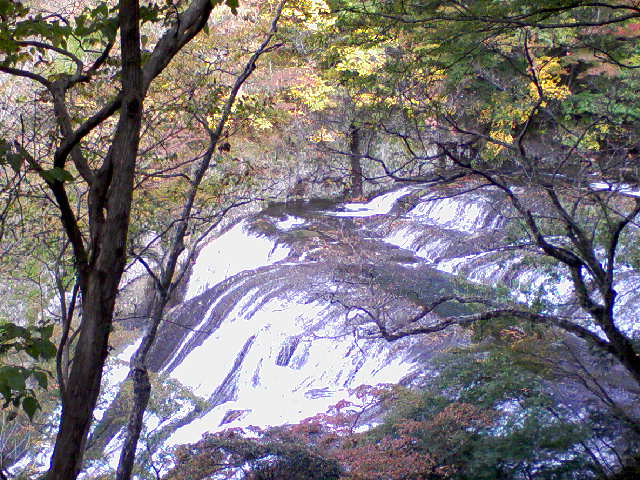 c0123531_1363843.jpg