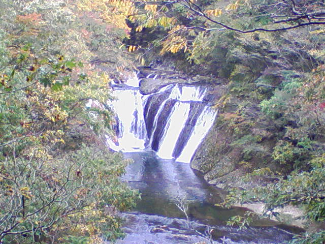 c0123531_1441260.jpg