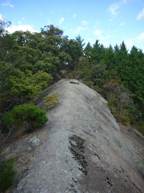 d0075131_23144134.jpg