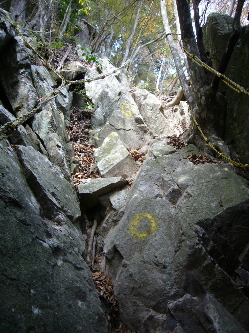 d0075131_2331122.jpg