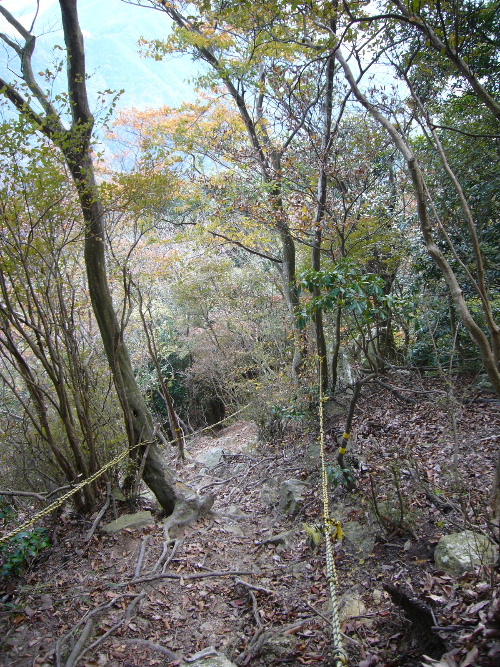 d0075131_2333970.jpg