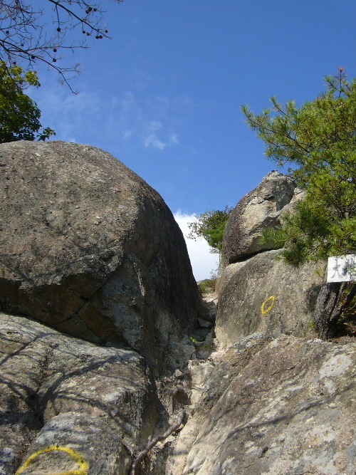 d0075131_2341544.jpg