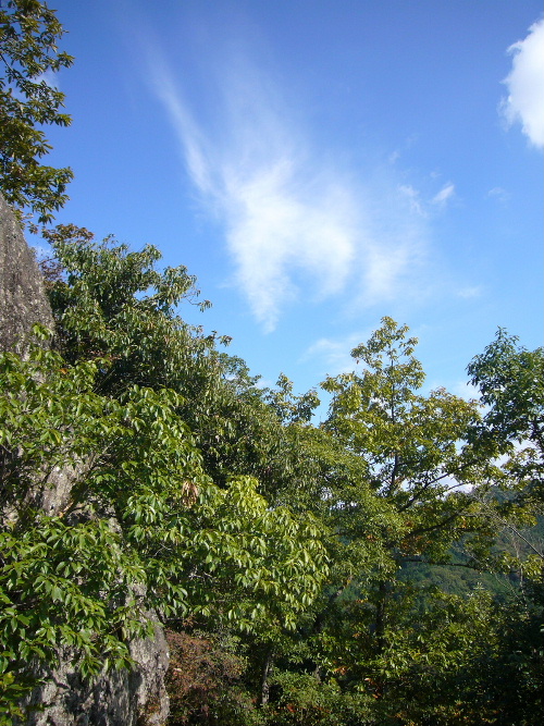 d0075131_2344275.jpg