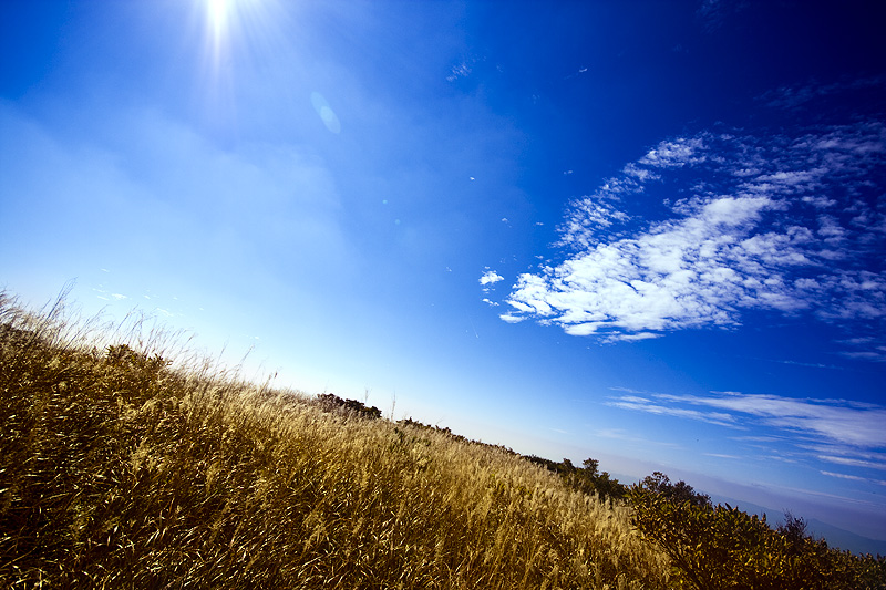 d0004832_8503554.jpg