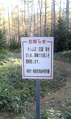 f0117332_9144123.jpg