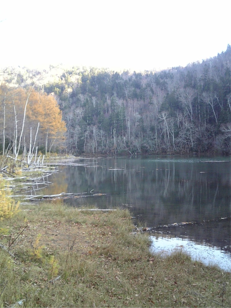 f0117332_930346.jpg