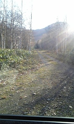 f0117332_9404413.jpg