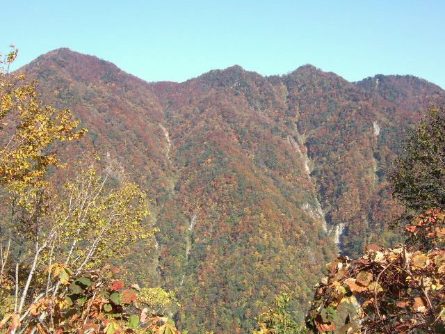 e0064133_153290.jpg