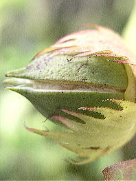 f0042135_17172032.jpg