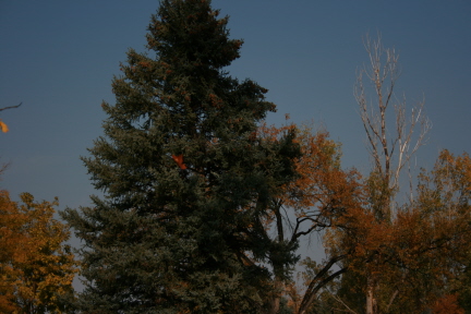 e0104941_22515155.jpg