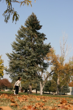 e0104941_22551161.jpg