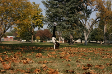 e0104941_2255563.jpg