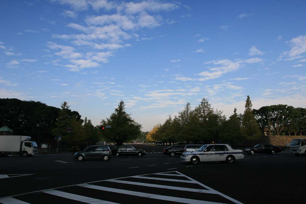 a0076043_21391362.jpg
