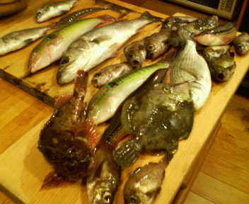 f0088647_1239268.jpg