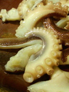 f0088647_1342525.jpg