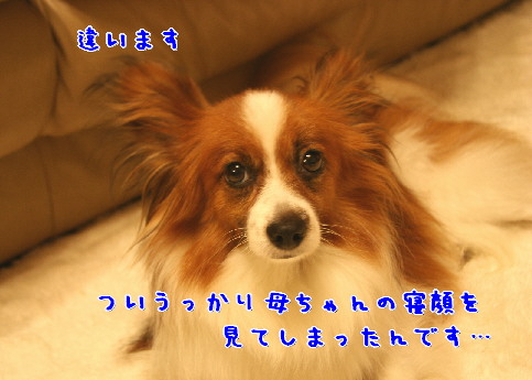 d0013149_0385339.jpg