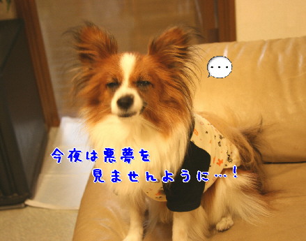 d0013149_0473615.jpg
