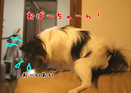 d0013149_18262.jpg