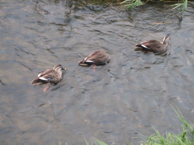 d0044249_2324010.jpg