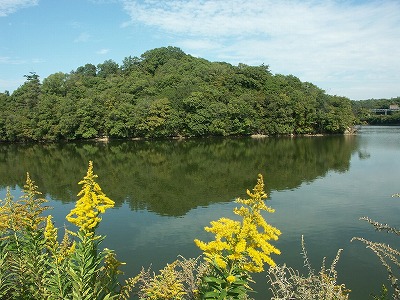 b0044663_12291888.jpg