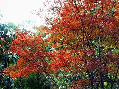 b0044663_12313880.jpg