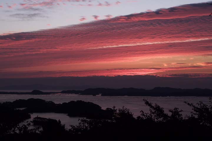 e0067463_631571.jpg