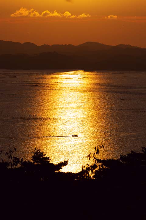 e0067463_6341024.jpg