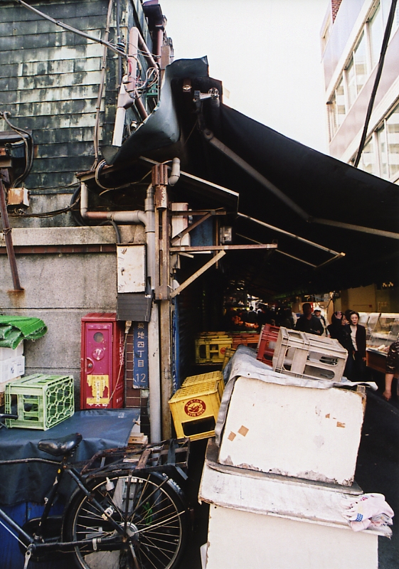c0084666_662542.jpg