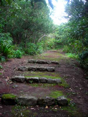e0097770_1123728.jpg