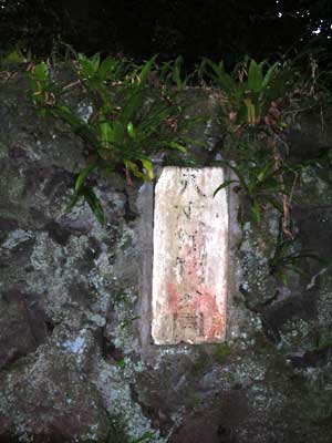 e0097770_1134910.jpg