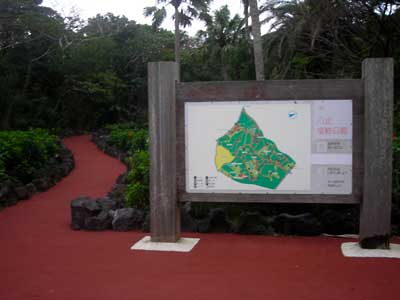 e0097770_1271329.jpg