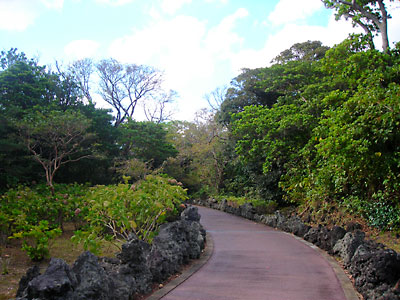 e0097770_17451579.jpg