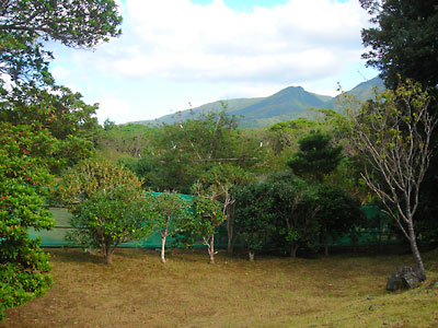 e0097770_1747115.jpg
