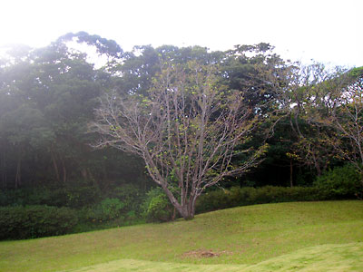 e0097770_17481491.jpg