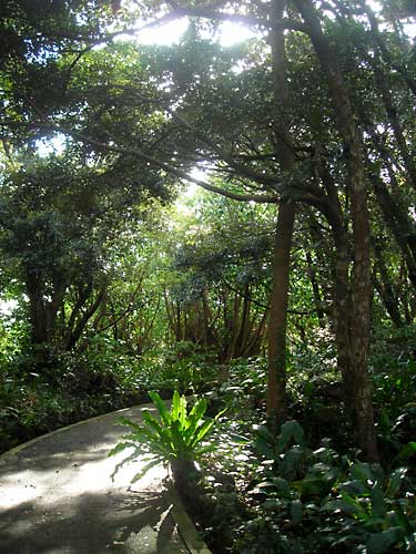 e0097770_1750521.jpg