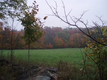 e0114371_12402914.jpg
