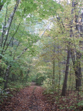 e0114371_1240916.jpg