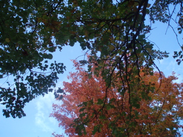 e0114371_12411847.jpg
