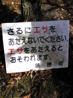 f0011875_19242483.jpg