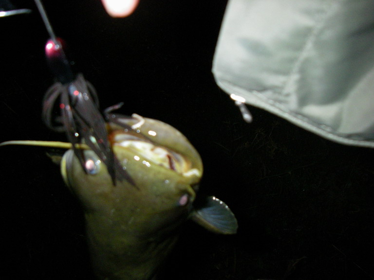 a0040876_2334715.jpg