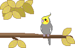 e0027078_21145533.gif