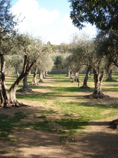 f0136579_62529.jpg