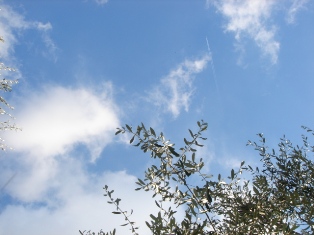 f0136579_652295.jpg
