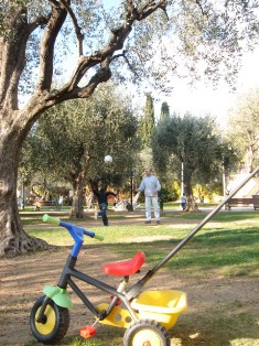 f0136579_653973.jpg