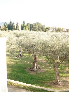 f0136579_682768.jpg