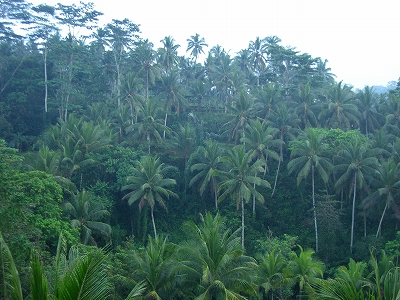 b0101284_2230083.jpg