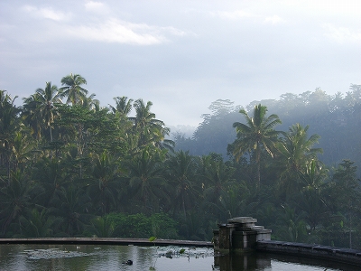 b0101284_22312068.jpg