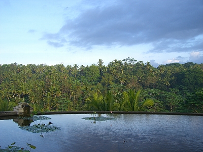 b0101284_22315259.jpg