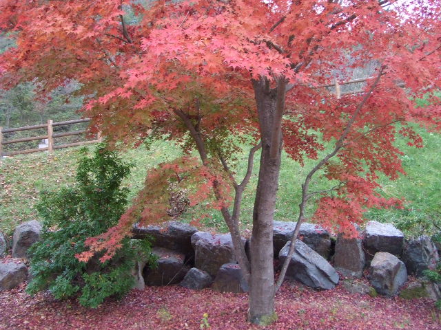 f0028584_419939.jpg